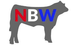 National Beef Wire